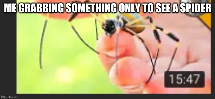 ME GRABBING SOMETHING ONLY TO SEE A SPIDER | made w/ Imgflip meme maker