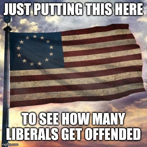 THEY ARE SO EASILY OFFENDED | JUST PUTTING THIS HERE; TO SEE HOW MANY LIBERALS GET OFFENDED | image tagged in betsy ross flag,american flag,liberals | made w/ Imgflip meme maker