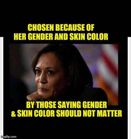 CHOSEN BECAUSE OF HER GENDER AND SKIN COLOR; BY THOSE SAYING GENDER & SKIN COLOR SHOULD NOT MATTER | image tagged in kamala | made w/ Imgflip meme maker