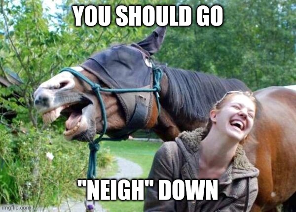 Laughing Horse | YOU SHOULD GO "NEIGH" DOWN | image tagged in laughing horse | made w/ Imgflip meme maker