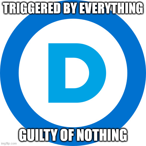 TRIGGERED BY EVERYTHING; GUILTY OF NOTHING | image tagged in political | made w/ Imgflip meme maker