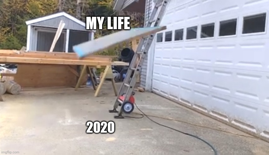 Life | MY LIFE; 2020 | image tagged in life,2020 | made w/ Imgflip meme maker