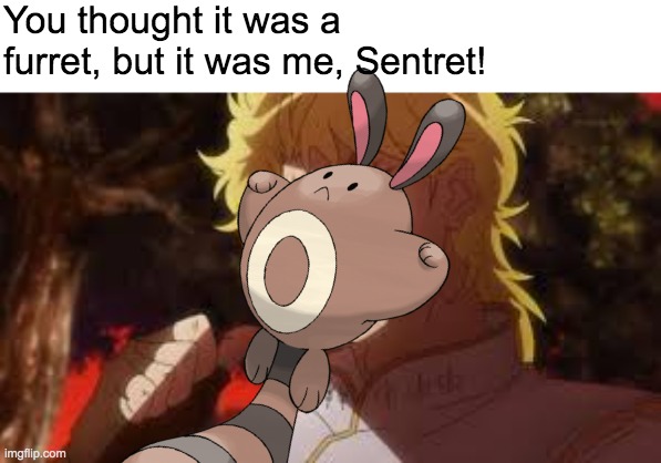 Hah get tricked by sentret | You thought it was a furret, but it was me, Sentret! | image tagged in furret,sentret | made w/ Imgflip meme maker
