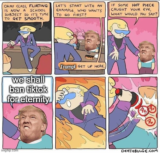 This is why voting 4 Trump was a good idea. He will ban TikTok! Yay!!! | Trump! we shall ban tiktok for eternity | image tagged in flirting class,donald trump,tiktok,banned | made w/ Imgflip meme maker