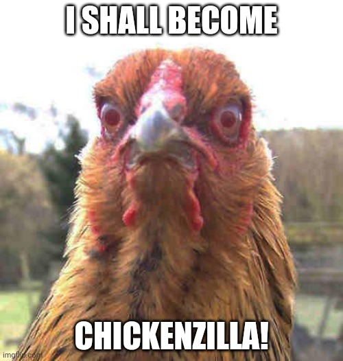 revenge chicken | I SHALL BECOME; CHICKENZILLA! | image tagged in revenge chicken | made w/ Imgflip meme maker