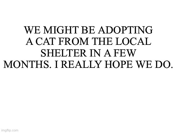 Kitty..... | WE MIGHT BE ADOPTING A CAT FROM THE LOCAL SHELTER IN A FEW MONTHS. I REALLY HOPE WE DO. | image tagged in blank white template | made w/ Imgflip meme maker