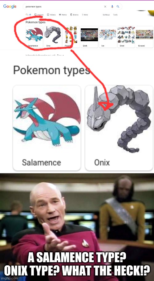I WANT A MEWTWO TYPE! | A SALAMENCE TYPE? ONIX TYPE? WHAT THE HECK!? | image tagged in memes,picard wtf | made w/ Imgflip meme maker