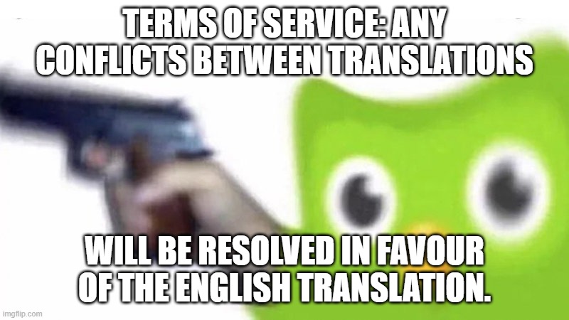English Rule ToS | TERMS OF SERVICE: ANY CONFLICTS BETWEEN TRANSLATIONS; WILL BE RESOLVED IN FAVOUR OF THE ENGLISH TRANSLATION. | image tagged in duolingo gun,terms and conditions,english | made w/ Imgflip meme maker