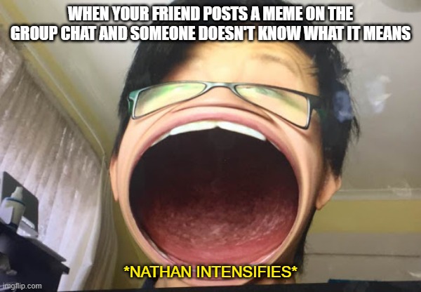 Nathan intensifies | WHEN YOUR FRIEND POSTS A MEME ON THE GROUP CHAT AND SOMEONE DOESN'T KNOW WHAT IT MEANS; *NATHAN INTENSIFIES* | image tagged in custom template,fisheye | made w/ Imgflip meme maker