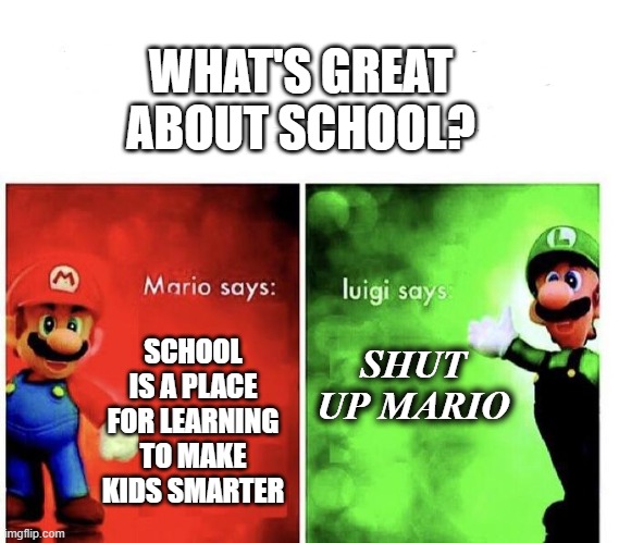 who you choose? | WHAT'S GREAT ABOUT SCHOOL? SHUT UP MARIO; SCHOOL IS A PLACE FOR LEARNING TO MAKE KIDS SMARTER | image tagged in mario bros views | made w/ Imgflip meme maker