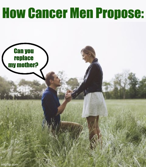 im crying bro AAAAAAAAA | How Cancer Men Propose:; Can you replace my mother? | image tagged in memes,cancer,zodiac,horoscope,proposal | made w/ Imgflip meme maker