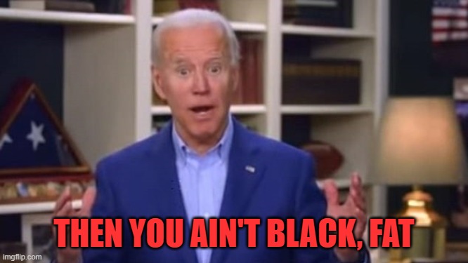 Joe Biden You Ain't Black | THEN YOU AIN'T BLACK, FAT | image tagged in joe biden you ain't black | made w/ Imgflip meme maker