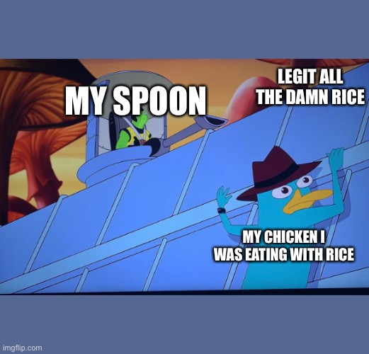 Me irl | LEGIT ALL THE DAMN RICE; MY SPOON; MY CHICKEN I WAS EATING WITH RICE | image tagged in memes | made w/ Imgflip meme maker