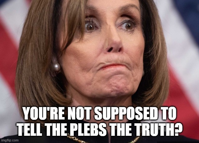 YOU'RE NOT SUPPOSED TO TELL THE PLEBS THE TRUTH? | image tagged in nancy pelosi,nancy peestain,nancy saloon owner | made w/ Imgflip meme maker