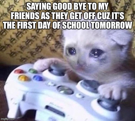 Sad Gamer Cat | SAYING GOOD BYE TO MY FRIENDS AS THEY GET OFF CUZ IT’S THE FIRST DAY OF SCHOOL TOMORROW | image tagged in sad gamer cat,sad | made w/ Imgflip meme maker