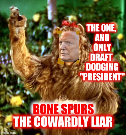 Dishonorable Discharge Donald | THE ONE, 
AND
ONLY
DRAFT 
DODGING
"PRESIDENT"; BONE SPURS; THE COWARDLY LIAR | image tagged in cowardly lion,memes,liar in chief,lock him up,trump lies,trump unfit unqualified dangerous | made w/ Imgflip meme maker
