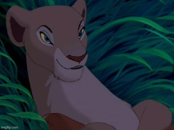 Nala Seductive Look | image tagged in nala seductive look | made w/ Imgflip meme maker