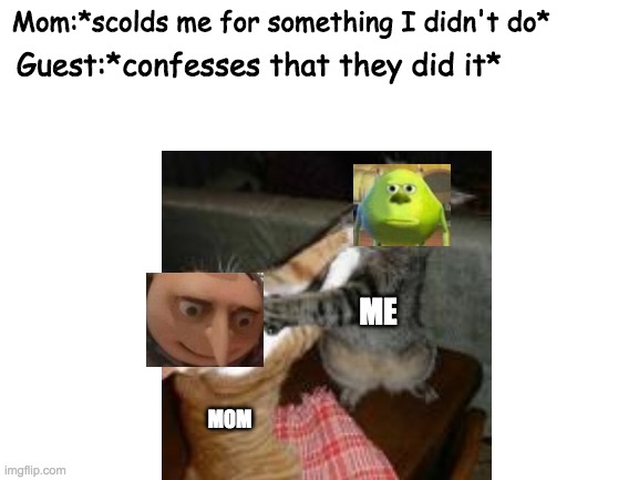 this has happened | Mom:*scolds me for something I didn't do*; Guest:*confesses that they did it*; ME; MOM | image tagged in sully wazowski | made w/ Imgflip meme maker