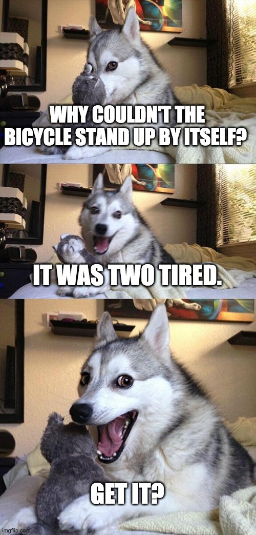 Bad Pun Dog | WHY COULDN'T THE BICYCLE STAND UP BY ITSELF? IT WAS TWO TIRED. GET IT? | image tagged in memes,bad pun dog | made w/ Imgflip meme maker