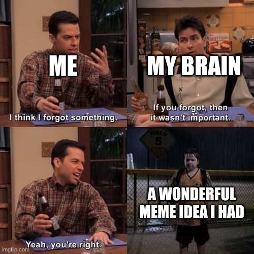 This happens waaay to many times | MY BRAIN; ME; A WONDERFUL MEME IDEA I HAD | image tagged in i think i forgot something | made w/ Imgflip meme maker