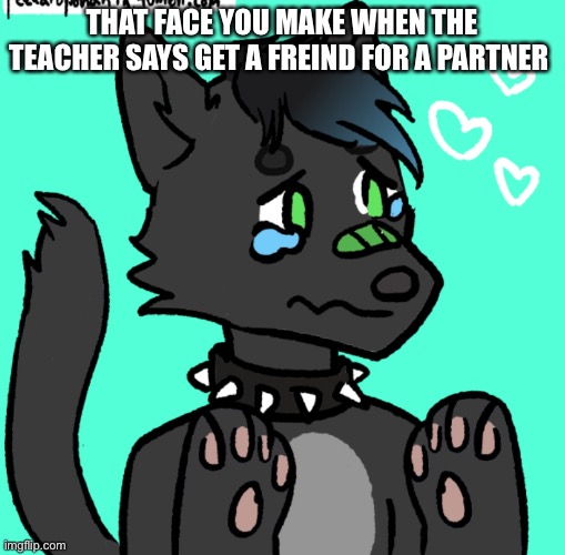 Eric: it’s beautiful! | THAT FACE YOU MAKE WHEN THE TEACHER SAYS GET A FREIND FOR A PARTNER | image tagged in eric it s beautiful | made w/ Imgflip meme maker