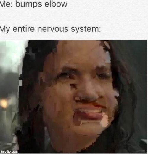 "fix cropping" no | image tagged in jrgjjiger | made w/ Imgflip meme maker