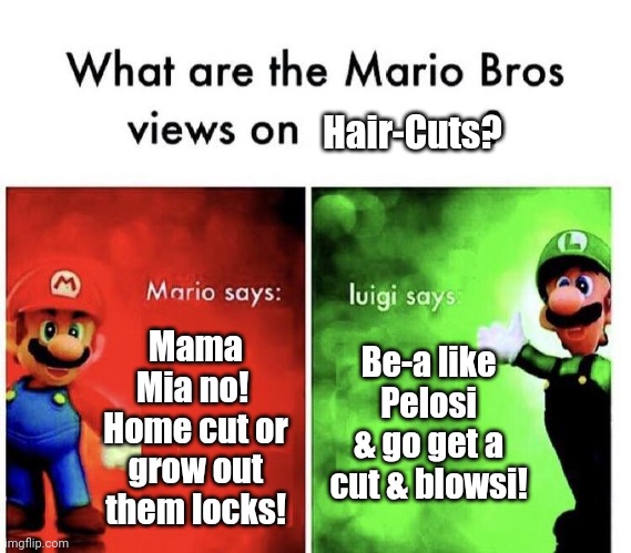 How's about Nintendo Hair Cuts? | Hair-Cuts? Be-a like Pelosi & go get a cut & blowsi! Mama Mia no!  Home cut or grow out them locks! | image tagged in mario bros views | made w/ Imgflip meme maker