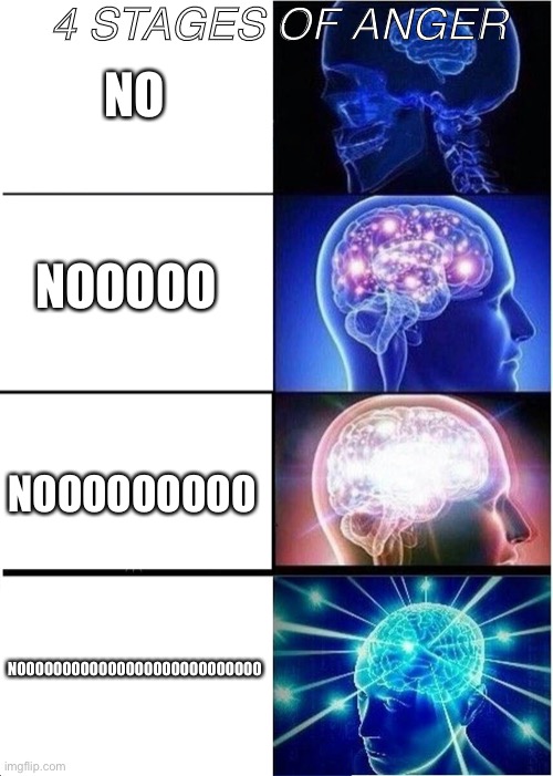 Four Stages of Anger | 4 STAGES OF ANGER; NO; NOOOOO; NOOOOOOOOO; NOOOOOOOOOOOOOOOOOOOOOOOOOOO | image tagged in memes,expanding brain | made w/ Imgflip meme maker
