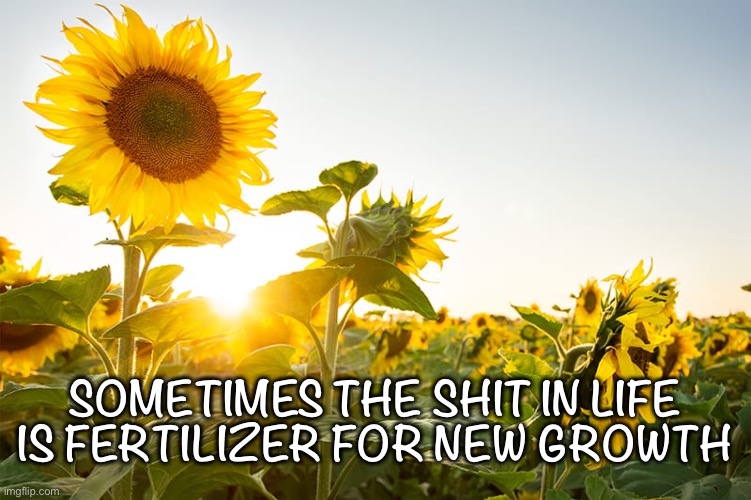 Inspirational Meme | SOMETIMES THE SHIT IN LIFE IS FERTILIZER FOR NEW GROWTH | image tagged in inspirational quote,inspirational,quotes,flowers,happy,wisdom | made w/ Imgflip meme maker