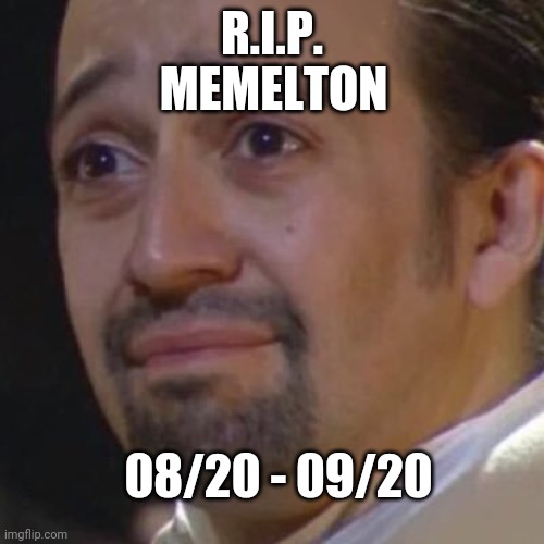 I'm sad... | MEMELTON; R.I.P. 08/20 - 09/20 | image tagged in sad hamilton | made w/ Imgflip meme maker