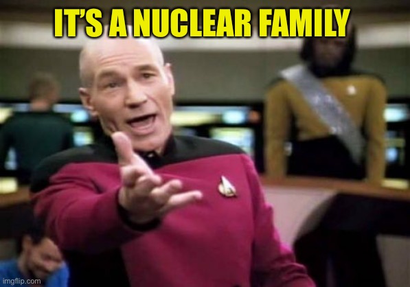 Picard Wtf Meme | IT’S A NUCLEAR FAMILY | image tagged in memes,picard wtf | made w/ Imgflip meme maker