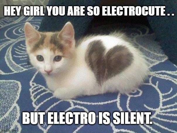 crushed | HEY GIRL YOU ARE SO ELECTROCUTE . . BUT ELECTRO IS SILENT. | image tagged in cute cat heart | made w/ Imgflip meme maker