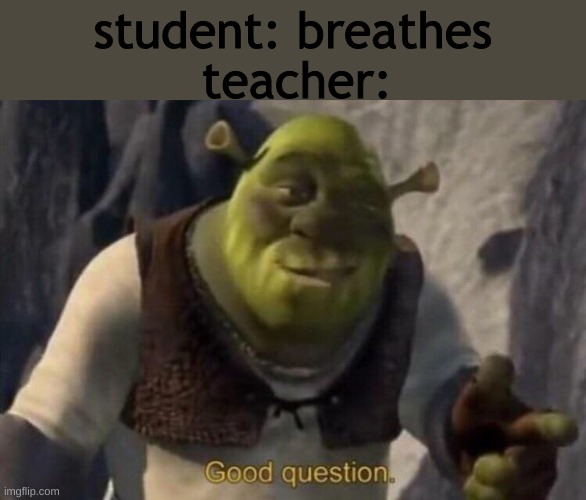 School. | student: breathes; teacher: | image tagged in shrek good question | made w/ Imgflip meme maker