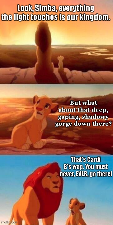 Everything the light touches | Look, Simba, everything the light touches is our kingdom. But what about that deep, gaping, shadowy gorge down there? That's Cardi B's wap. You must never, EVER, go there! | image tagged in lion king,cardi b,wap,pop culture,humor | made w/ Imgflip meme maker