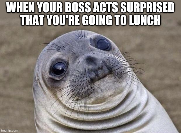Awkward Moment Sealion | WHEN YOUR BOSS ACTS SURPRISED THAT YOU'RE GOING TO LUNCH | image tagged in memes,awkward moment sealion | made w/ Imgflip meme maker