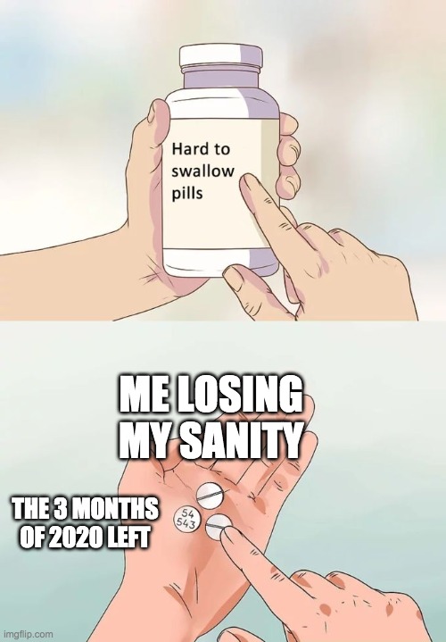 Hard To Swallow Pills | ME LOSING MY SANITY; THE 3 MONTHS OF 2020 LEFT | image tagged in memes,hard to swallow pills | made w/ Imgflip meme maker