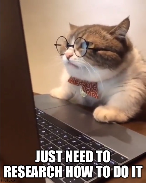 research cat | JUST NEED TO RESEARCH HOW TO DO IT | image tagged in research cat | made w/ Imgflip meme maker
