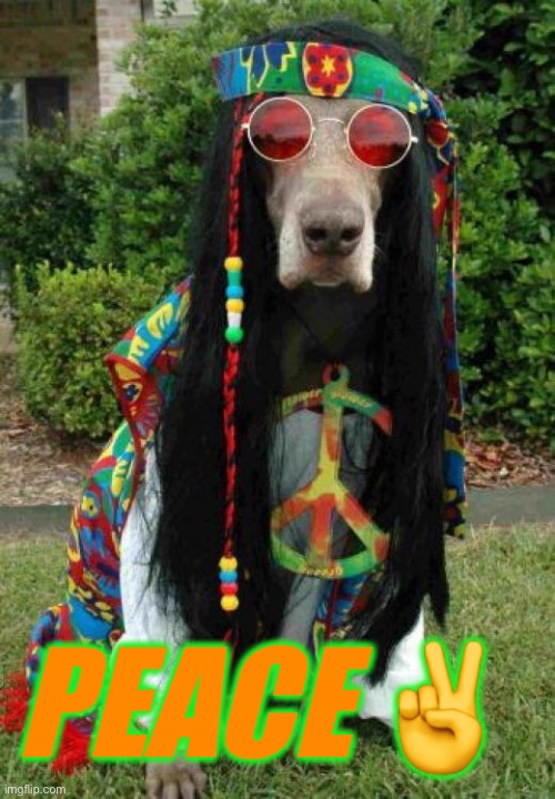 Hippie dog  | PEACE ✌️ | image tagged in hippie dog | made w/ Imgflip meme maker