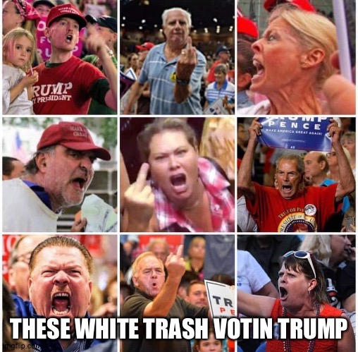 Triggered Trump supporters | THESE WHITE TRASH VOTIN TRUMP | image tagged in triggered trump supporters | made w/ Imgflip meme maker