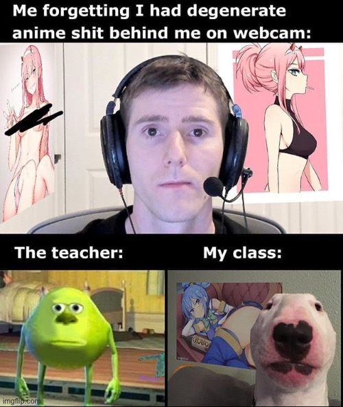 School on web chat | image tagged in monsters inc,mike wazowski,dogs,anime,aqua teen | made w/ Imgflip meme maker
