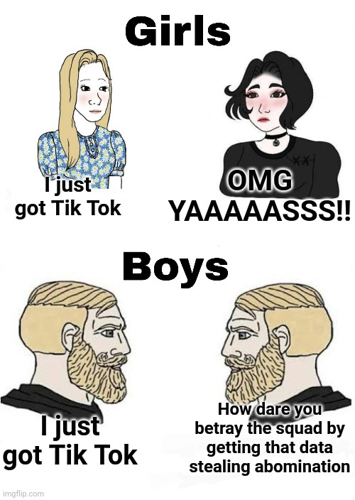 Note that I'm not saying that all girls do or react that way. It's just a joke. Thank you | OMG YAAAAASSS!! I just got Tik Tok; How dare you betray the squad by getting that data stealing abomination; I just got Tik Tok | image tagged in girls vs boys,memes,tik tok,ban tik tok | made w/ Imgflip meme maker