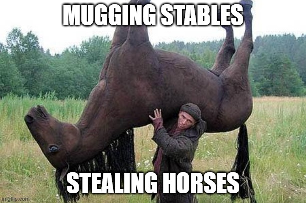 When someones says mugging instead of mucking | MUGGING STABLES; STEALING HORSES | image tagged in horse | made w/ Imgflip meme maker