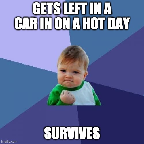 Surviving worse than COVID | GETS LEFT IN A CAR IN ON A HOT DAY; SURVIVES | image tagged in memes,success kid,funny,funny memes,funny meme,lol | made w/ Imgflip meme maker