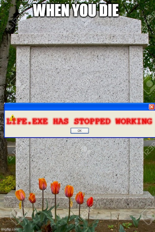 When you die |  WHEN YOU DIE; LIFE.EXE HAS STOPPED WORKING | image tagged in dead,stop | made w/ Imgflip meme maker