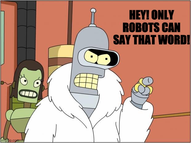 Bender Meme | HEY! ONLY ROBOTS CAN SAY THAT WORD! | image tagged in memes,bender | made w/ Imgflip meme maker