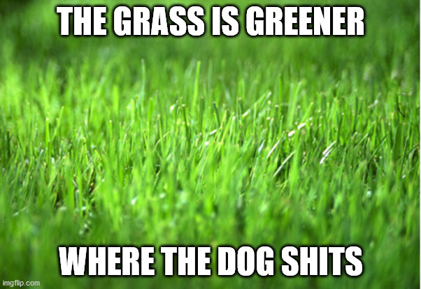 Green Grass | THE GRASS IS GREENER; WHERE THE DOG SHITS | image tagged in grass is greener | made w/ Imgflip meme maker