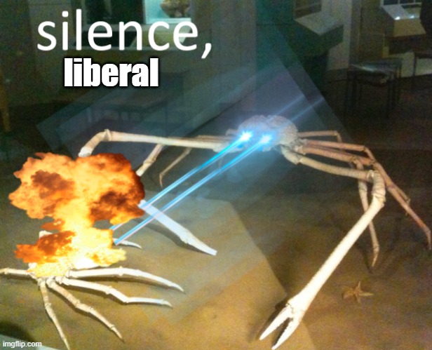 silence, liberal | liberal | image tagged in silence crab | made w/ Imgflip meme maker