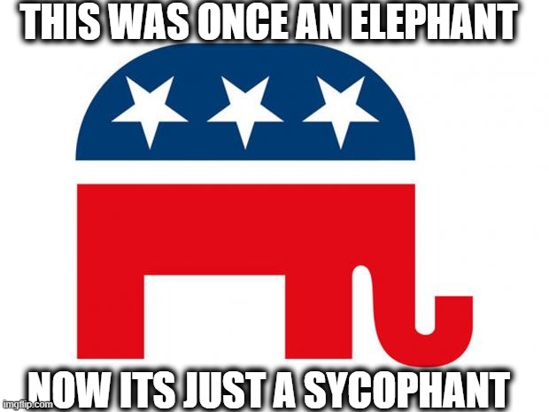 The only "rinos" are trump supporters. and you know it. | THIS WAS ONCE AN ELEPHANT; NOW ITS JUST A SYCOPHANT | image tagged in republican,politics,memes,conservatives,gop,maga | made w/ Imgflip meme maker
