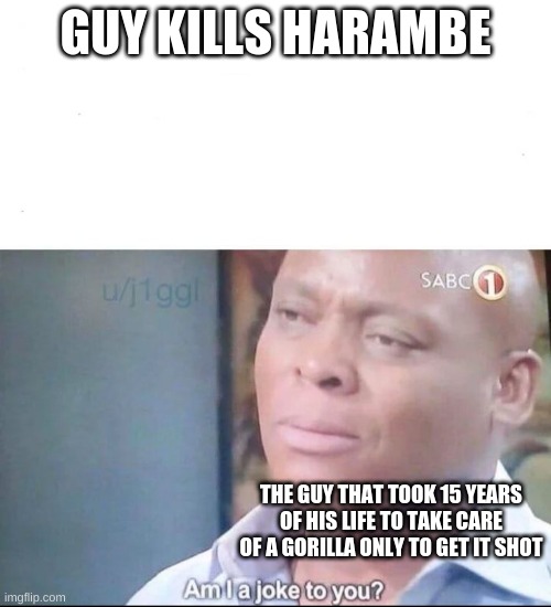 umm |  GUY KILLS HARAMBE; THE GUY THAT TOOK 15 YEARS OF HIS LIFE TO TAKE CARE OF A GORILLA ONLY TO GET IT SHOT | image tagged in am i a joke to you | made w/ Imgflip meme maker