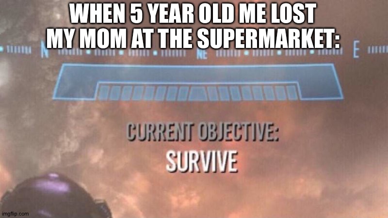 oh no | WHEN 5 YEAR OLD ME LOST MY MOM AT THE SUPERMARKET: | image tagged in current objective survive,memes,funny,supermarket,mom,stop reading the tags | made w/ Imgflip meme maker